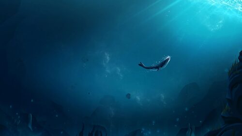 Whale, Ocean, Underwater HD Wallpapers Free Download
