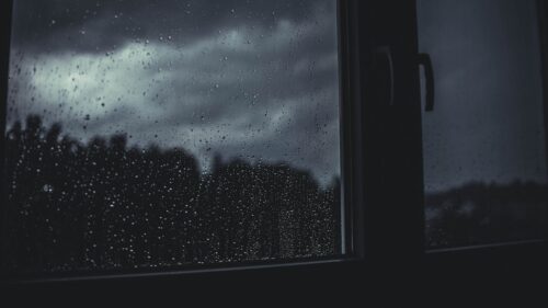 Window, Drops, Rain, Blur HD Wallpapers Free Download