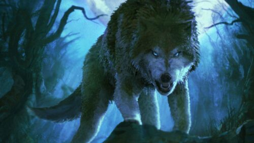 Wolf, Grin, Aggressive HD Wallpapers Free Download