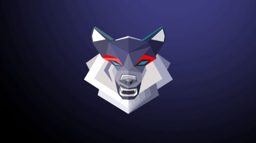 Wolf, Grin, Art HD Wallpapers Free Download