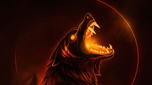 Wolf, Grin, Predator HD Wallpapers Free Download (2)