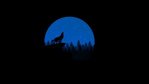 Wolf, Minimalism, Art, Vector HD Wallpapers Free Download