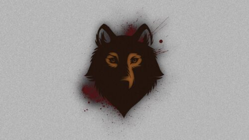 Wolf, Muzzle, Spots, Background HD Wallpapers Free Download
