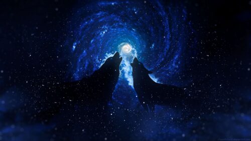 Wolves, Silhouettes, Starry Wallpapers Free Download