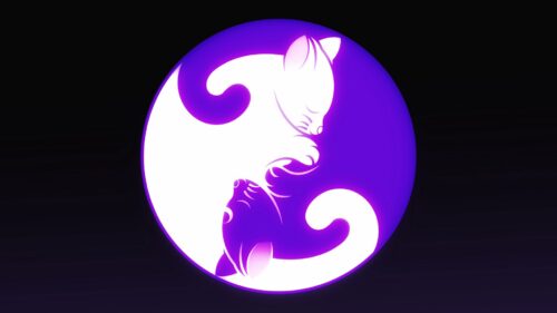 Yin and Yang, Yin, Yang Cat Wallpapers Free Download