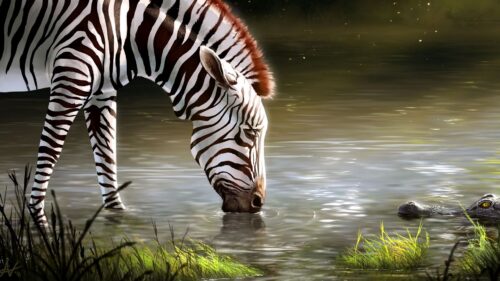 Zebra, Lake, Art Wallpapers Free Download