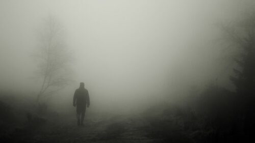 silhouette, Fog, Loneliness Wallpapers Free Download