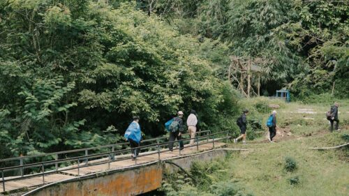 Group of Hikers Crossing an Old Bridge in the Forest 4K Wallpaper
