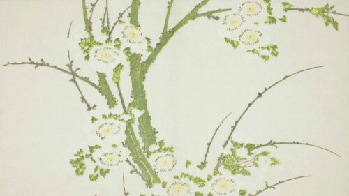 Minimalist Botanical Japanese Art Tree Branch 4K Wallpaper