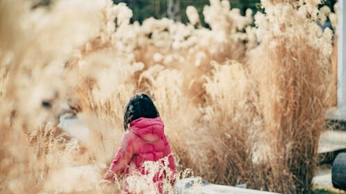 Little Girl in Pink Jacket Walking Through Golden Tall Grass Desktop Wallpaper