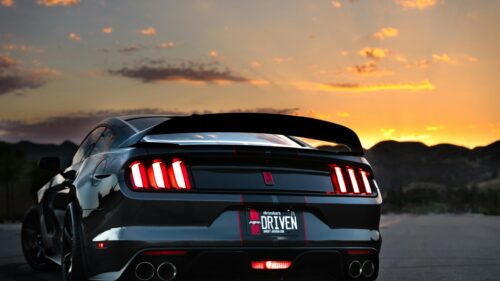 Stunning Ford Mustang Shelby GT500 Sunset Rear View 4K Wallpaper