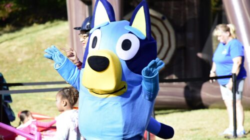 Bluey Mascot Character at Outdoor Festival Fun Desktop Wallpaper