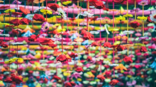 Vibrant Hanging Floral Decor Colorful Flowers 4K Wallpaper