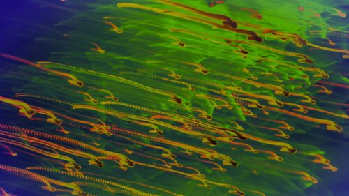 Abstract Neon Light Trails Motion Blur 4K Desktop Wallpaper