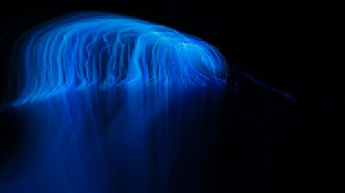 Abstract Blue Light Motion Trails High Resolution Desktop Wallpaper