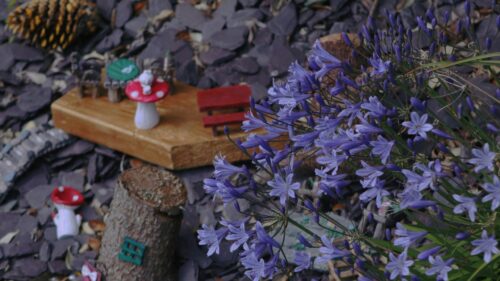 Magical Miniature Fairy Garden with Vibrant Purple Agapanthus Desktop Wallpaper