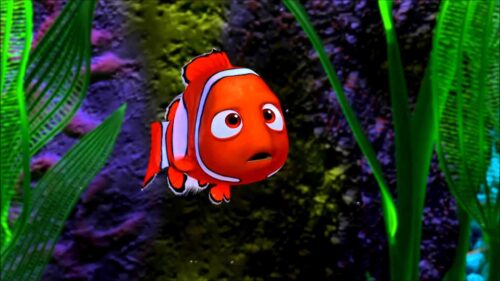Nemo and Dory Exploring the Vibrant Great Barrier Reef 4K Desktop Wallpaper