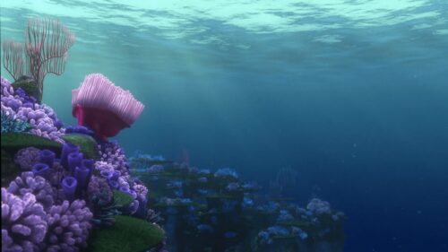 Nemo and Dory Underwater Coral Reef Adventure High Definition Desktop Wallpaper