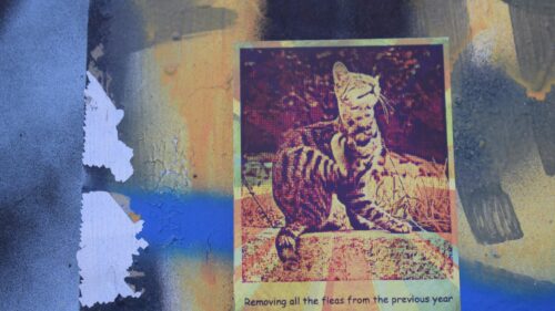 Abstract Scratching Cat Graffiti Street Art 4K Wallpaper