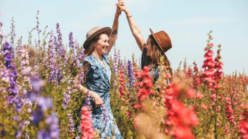 Two Friends Dancing in a Vibrant Flower Field 4K Wallpaper