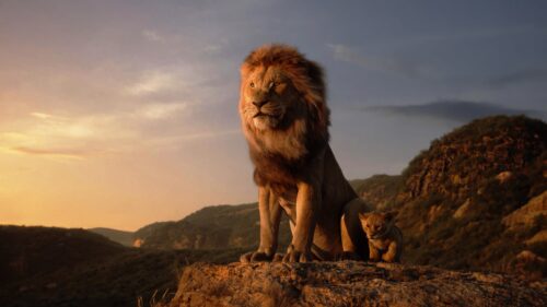 Majestic Lion King Silhouette Over Burning Golden Sunset 4K Desktop Wallpaper