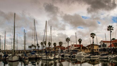 Serene Harbor Marina with Sailboats and Palm Trees 4K Wallpaper