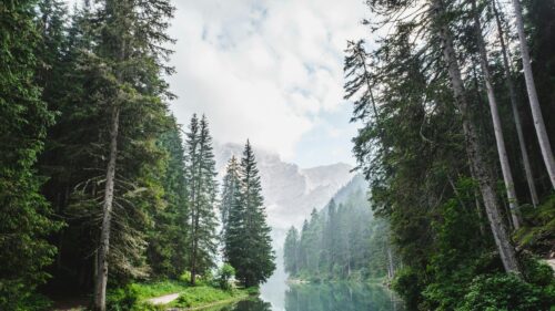 Misty Alpine Lake and Pine Forest Mountain View 4K Desktop Wallpaper