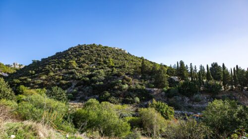 Sunlit Mediterranean Hillside Forest Landscape 4K Wallpaper