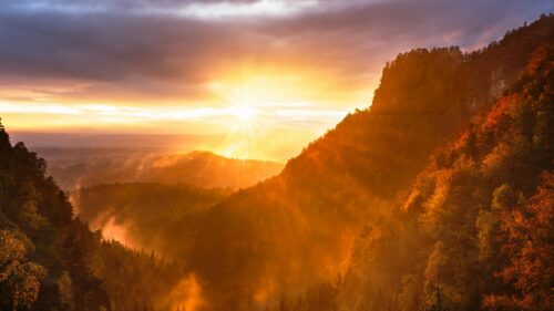 Golden Sunset Over Misty Autumn Forest 4K Desktop Wallpaper