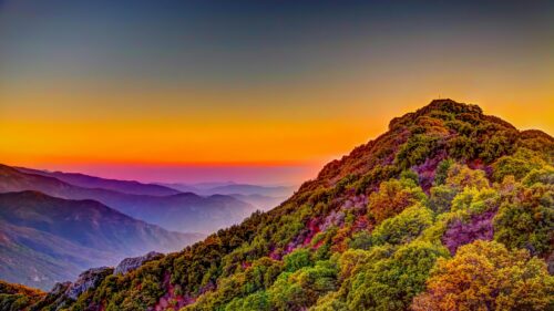 Stunning Mountain Sunset Forest View 4K Desktop Wallpaper
