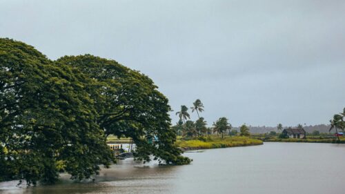 Serene Tropical River Landscape with Lush Green Tree 4K Wallpaper