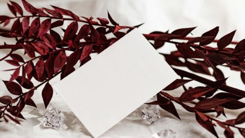 Minimalist White Blank Card and Deep Red Leaves Desktop Wallpaper