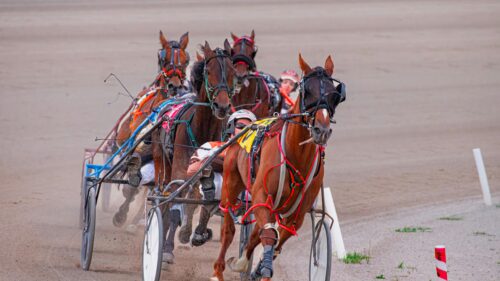 Dynamic Harness Horse Racing Action 4K Wallpaper