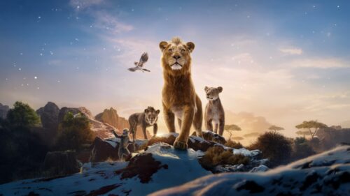 Majestic Lion King Silhouette Over African Savanna Sunset 4K Desktop Wallpaper