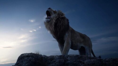 Majestic Lion King Silhouette Over Savanna Sunset 4K Desktop Wallpaper
