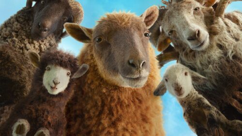 Mysterious Sheep Detectives Examining Clues in Noir Style 4K Desktop Wallpaper