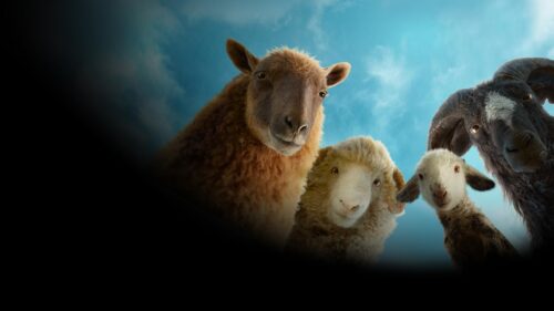 The Sheep Detectives Investigating a Mystery in 4K Desktop Wallpaper