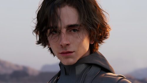 Stunning Cinematic Portrait of Timothee Chalamet High Definition 4K Desktop Wallpaper