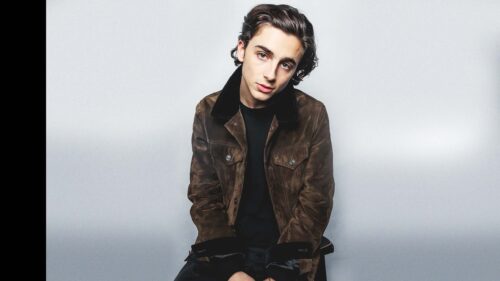 Timothee Chalamet Cinematic Portrait High Quality 16:9 Desktop Wallpaper