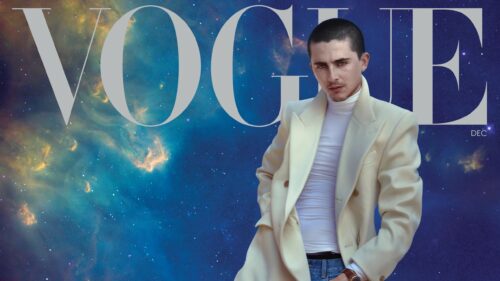 Stunning Portrait of Timothee Chalamet High Definition Cinematic Desktop Wallpaper