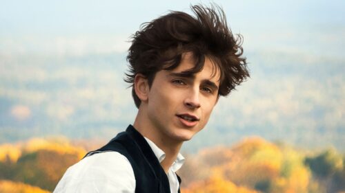 Timothee Chalamet Cinematic Portrait High Resolution Desktop Wallpaper