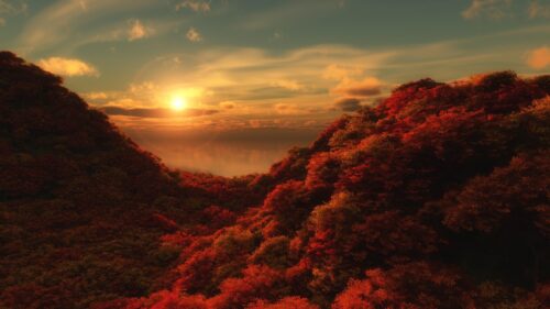 Breathtaking Autumn Sunset Over Red Forest Valley PC Wallpaper