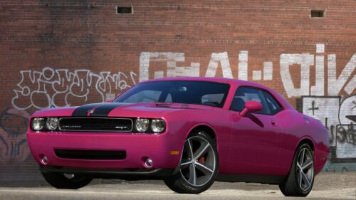 Stunning Pink Dodge Challenger SRT Muscle Car Desktop Wallpaper