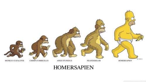 Evolution of Homer Simpson Funny Cartoon Character 4K Wallpaper