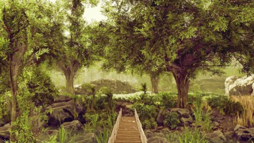 Enchanting Forest Bridge Landscape Scenic Nature PC Wallpaper