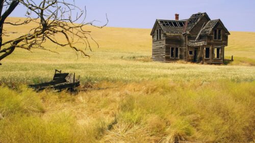 Abandoned Wooden Farmhouse in a Golden Wheat Field Desktop Wallpaper