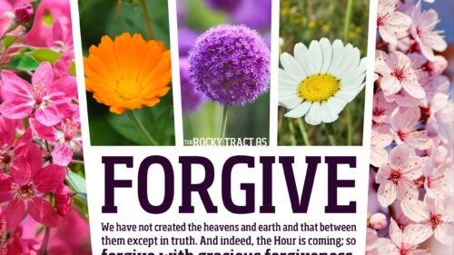 Beautiful Floral Collage with Inspiring Quote Desktop Wallpaper