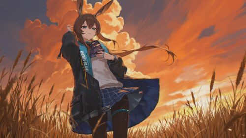 Amiya Arknights Anime Girl in Wheat Field at Sunset 4K PC Wallpaper