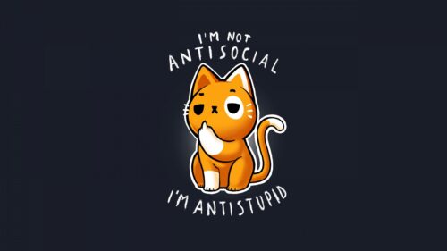 Funny Sarcastic Orange Cat Quote I Am Not Antisocial PC Wallpaper