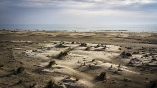 Serene Sandy Beach Dunes and Calm Ocean Horizon Desktop Wallpaper